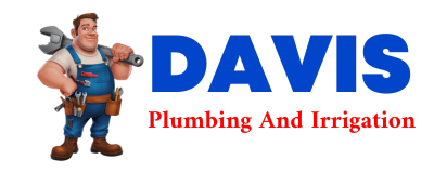 Trusted plumber in QUEMADO